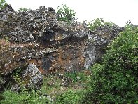 otta Intraleo-20100515 006